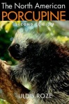 North American Porcupine