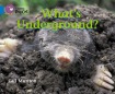 What’s Underground