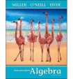 Intermediate Algebra (softcover)