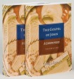Gospel of John