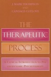 Therapeutic Process