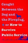 Caught Between the Dog and the Fireplug, or How to Survive Public Service