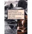 Formation Processes of the Archaeological Record