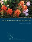 Guide to Plants of Yellowstone and Grand Teton National Parks