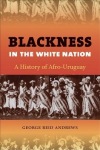 Blackness in the White Nation