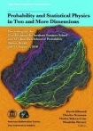 Probability and Statistical Physics in Two and More Dimensions