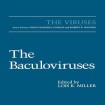 Baculoviruses
