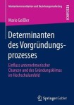 Determinanten des Vorgrundungsprozesses