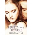 Perfect Kind of Trouble