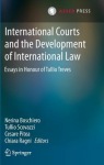 International Courts and the Development of International Law