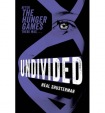 Undivided