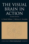 Visual Brain in Action