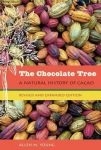 Chocolate Tree