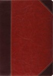 ESV Study Bible, Thumb Indexed