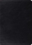 ESV Study Bible, Thumb Indexed