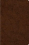 ESV Wide Margin Reference Bible, Red Letter