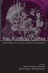 Auditory Cortex