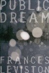 Public Dream