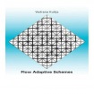 Flow Adaptive Schemes
