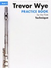Trevor Wye Practice Book For The Flute Book 2
