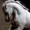 Arabian Horse of Egypt