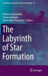 Labyrinth of Star Formation