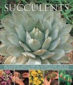 Succulents