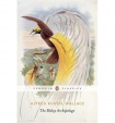 Malay Archipelago