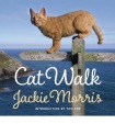 Cat Walk