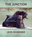 Junction