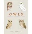 Owls