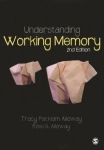 Understanding Working Memory