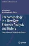 Phenomenology in a New Key: Between Analysis and History