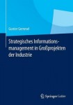 Strategisches Informationsmanagement in GroĂźprojekten der Industrie
