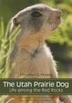 Utah Prairie Dog
