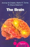 Brain