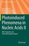 Photoinduced Phenomena in Nucleic Acids II