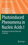 Photoinduced Phenomena in Nucleic Acids I