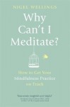 Why Can't I Meditate?