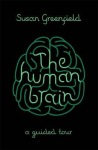Human Brain