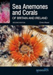 Sea Anemones and Corals of Britain and Ireland