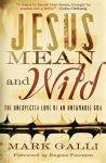 Jesus Mean and Wild – The Unexpected Love of an Untamable God