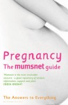 Pregnancy: The Mumsnet Guide