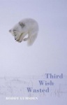 Third Wish Wasted