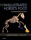 Illustrated Horse's Foot