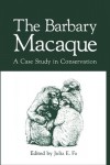Barbary Macaque