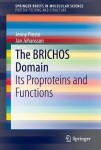 BRICHOS Domain