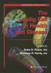 Leydig Cell in Health and Disease