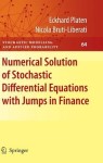 Numerical Solution of Stochastic Differential Equations with Jumps in Finance
