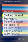 Stalking the Wild Sweetgrass
